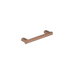 300mm Care Hand Rail