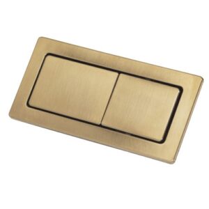 Back to Wall Flush Button