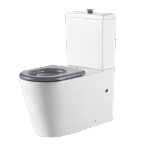Vienna Back To Wall Care Toilet Suite With Grey Seat and Buttons