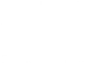 Otti Logo