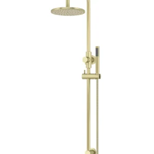 Gooseneck Combination Shower Rail with 200mm Rose & Single-Function Hand Shower