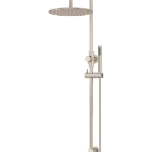 Gooseneck Combination Shower Rail with 300mm Rose & Single-Function Hand Shower